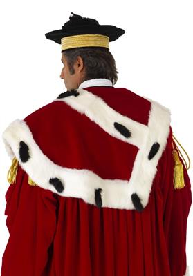 TOGA ALTA MAGISTRATURA MODELLO CICERONE