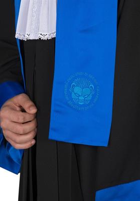 TOGA ACCADEMICA DOCENTE EUCLIDE BLU