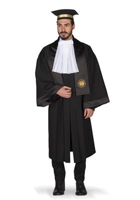 TOGA ACCADEMICA DOCENTE EUCLIDE ORO