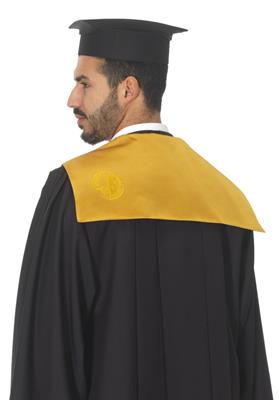 TOGA ACCADEMICA DOCENTE EUCLIDE SENAPE