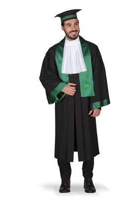 TOGA ACCADEMICA DOCENTE EUCLIDE VERDE