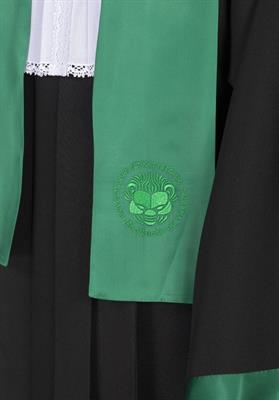TOGA ACCADEMICA DOCENTE EUCLIDE VERDE
