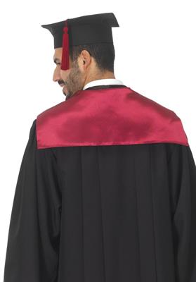 TOGA ACCADEMICA LAUREANDO DIOGENE FUCSIA